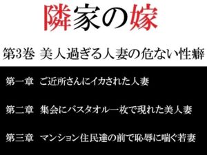 [RJ01436859][海老沢薫] 隣家の嫁 第3巻 美人過ぎる人妻の危ない性癖