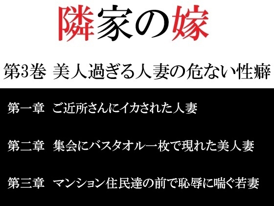 隣家の嫁 第3巻 美人過ぎる人妻の危ない性癖