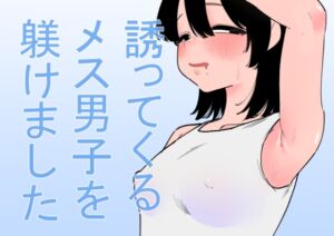 [RJ01445205][蜂蜂蜂] 誘ってくるメス男子を躾けました