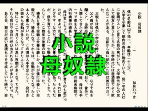 [RJ01450163][如月むつき] 小説 母奴○