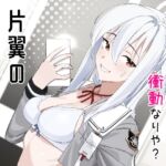 片翼のアンチノミー