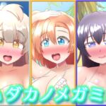 ハダカノメガミ2