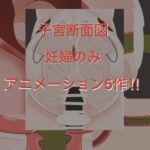 妊婦まとめ アニメーション5作！