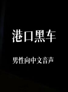 [RJ01451074][中文定制音声社] 港口黑车