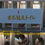 まる見えトイレ