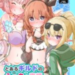 とあるギルドのえっちな事情-なかよし部編-