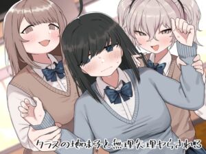[RJ01162415][みんなで翻訳] 【英語版】クラスの地味子と無理矢理ヤらされる