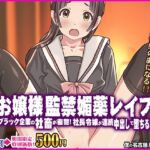 お嬢様監禁媚薬レ○プ-ブラック企業の社畜が復讐！社長令嬢が連続中出しで堕ちる！-