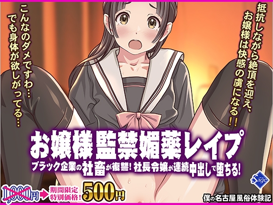 お嬢様監禁媚薬レ○プ-ブラック企業の社畜が復讐！社長令嬢が連続中出しで堕ちる！-