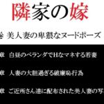 隣家の嫁 第6巻 美人妻の卑猥なヌードポーズ 後編