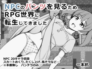 [RJ01464033][一本杭] NPCのパンツを見るためRPG世界に転生してきました