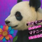 世界で一番エグいオナニーをしよう 5