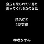 金玉を蹴られたい男と蹴ってくれる女のお話/1話完結、読み切り