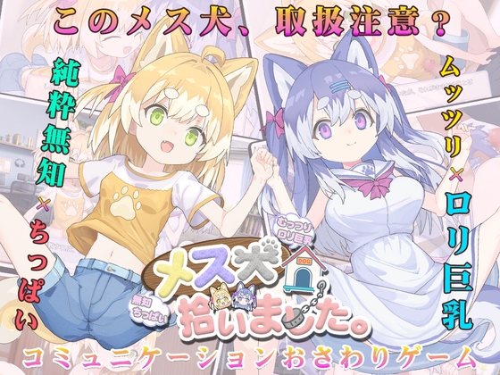 メス犬、拾いました。