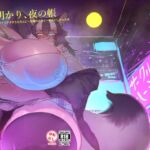 灯る明かり、夜の帳