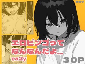 [RJ01470473][あきや] 【韓国語版】エロビンゴってなんなんだよ…ea2y
