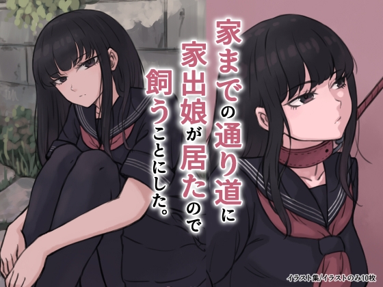 家までの通り道に家出娘が居たので飼うことにした。