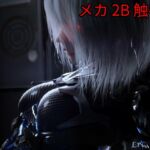 [3DCG] メカ娘 2B 触手
