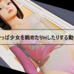 おかっぱ少女を眺めたりHしたりする動画