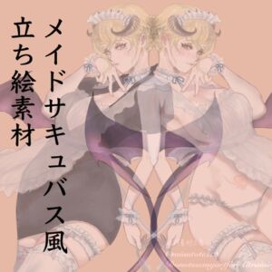 [RJ01487633][MNT素材工房] メイドサキュバス風立ち絵素材