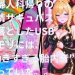 き、効くぅ～～～!!!【特殊胎内回帰】産婦人科帰りの発情サキュバスが落としたUSBメモリには、“効きすぎる胎内音”が入っていた。。[2]