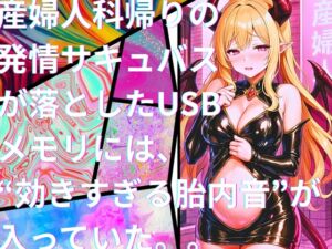 [RJ01490118][Querica Music] き、効くぅ～～～!!!【特殊胎内回帰】産婦人科帰りの発情サキュバスが落としたUSBメモリには、“効きすぎる胎内音”が入っていた。。[2]