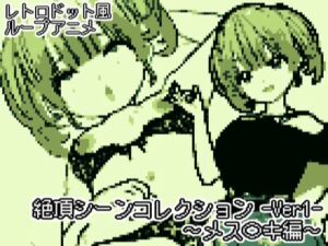 [RJ01491211][DOSUKEBE BOY] 【レトロドット風アニメ】絶頂シーンコレクション -ver1 メス〇キ編-