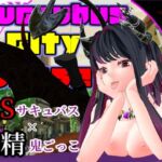 サキュバスシティ・チェイス