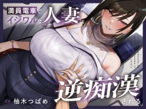 [RJ01504847][あくあぽけっと] 【繁体中文版】【全編潮吹き】満員電車でイジワルな人妻に逆痴○される