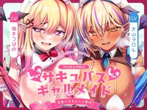 [RJ01483049][フェチナンデス] 【キス特化×純愛×ソフトM】ご主人様しゅきしゅきサキュバスギャルメイド姉妹のあまあま密着べろちゅーご奉仕♡