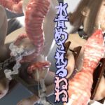 水責めされるねね
