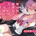 意地悪な魔導軍将ネメア様の甘責め愛玩搾精 with 赤ちゃん言葉 (はちみつトラップ) の発売予告 [RJ01488358]