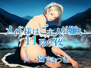 [RJ01498383][近未来のふわふわ] メイド様はご主人が嫌い 11月の夜