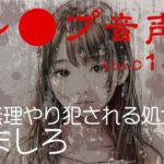 【レ◯プ音声】vol.014 無理やり犯される処女 ましろ