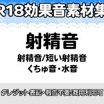 【R18効果音・クレジット表記不要】射精音に特化した効果音素材集