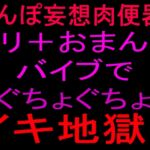 ちんぽ妄想肉便器‼クリ+おまんこバイブでぐちょぐちょイキ地獄‼