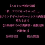 【スカトロ/性病/汚濁】「私、ゴミになっちゃった…」高慢ブランドギャルがホームレスの肉便器に堕ちるまで【公衆便所での公開排泄・強○浣腸・汚物食い】