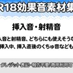 【R18効果音・クレジット表記不要】挿入音・射精音の効果音素材集