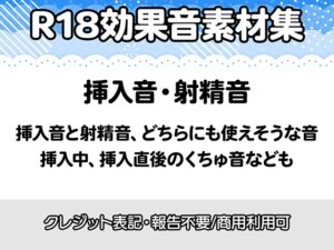 [RJ01516484][りりすたじお] 【R18効果音・クレジット表記不要】挿入音・射精音の効果音素材集