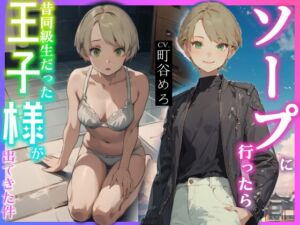 [RJ01379395][へきらぼ] 【韓国語版】ソープに行ったら昔同級生だった王子様が出てきた件