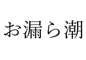 [RJ01519792][オコジョ彗星] 【効果音】お漏ら潮