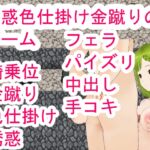誘惑色仕掛け金蹴りのゲーム
