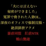 「夫には言えない秘密ができました」冤罪で脅された人妻OL、深夜のオフィスで強○浣腸・絶頂排泄アクメ 「夫には言えない秘密ができました」冤罪で脅された人妻OL、深夜のオフィスで強○浣腸・絶頂排泄アクメ