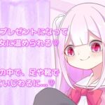 【サイズフェチ】クリスマスに届いた小人さんを温める 【サイズフェチ】クリスマスに届いた小人さんを温める