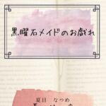 黒曜石メイドのお戯れ 黒曜石メイドのお戯れ