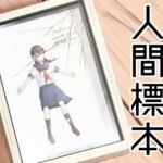 人間標本 人間標本