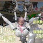 tsumayoji研究所 2025年 総集編 tsumayoji研究所 2025年 総集編