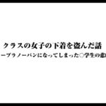 クラスの女子の下着を盗んだ話〜ノーブラノーパンになってしまった〇学生の悲劇〜 クラスの女子の下着を盗んだ話〜ノーブラノーパンになってしまった〇学生の悲劇〜