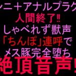 クンニ+アナルプラグで人間終了‼︎しゃべれず獣声「ちんぽ」連呼でメス豚完全堕ち絶頂音声‼︎ クンニ+アナルプラグで人間終了‼︎しゃべれず獣声「ちんぽ」連呼でメス豚完全堕ち絶頂音声‼︎