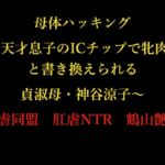 母体ハッキング ~天才息子のICチップで牝肉へと書き換えられる貞淑母・神谷涼子~ 母体ハッキング ~天才息子のICチップで牝肉へと書き換えられる貞淑母・神谷涼子~